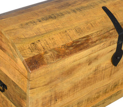 Oster Box - L100 X W43 X H50 - Furniture Castle